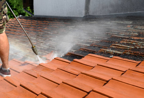 Best Sidewalk Pressure Washing  in Mcpherson, KS